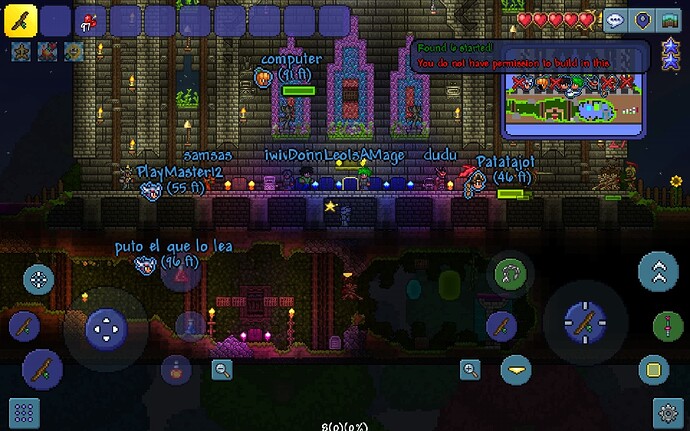 Screenshot_20211113-201318_Terraria