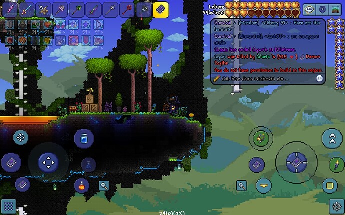 Screenshot_20220107-074410_Terraria