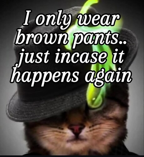 Screenshot_20251201-125411_Instagram