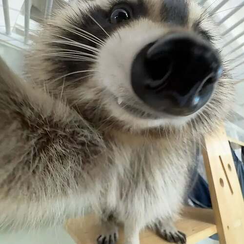 Snapinsta.app_418617778_1751107169044631_2876869987416281896_n_1080