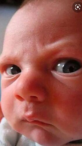 download - 2025-12-22T173008.452