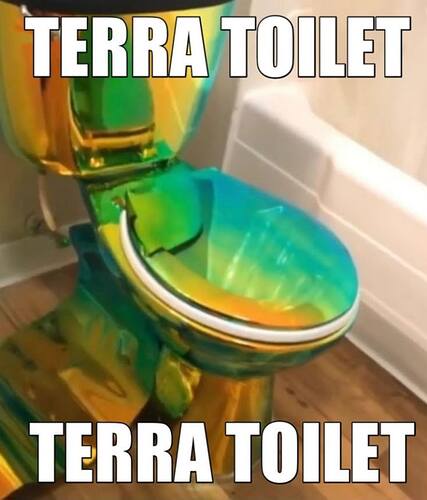 Terraria Terra toilet