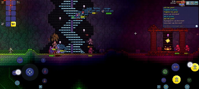 Screenshot_20250213_162145_Terraria