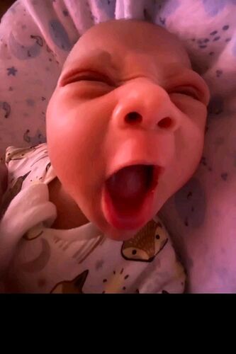 download - 2025-12-21T194251.814