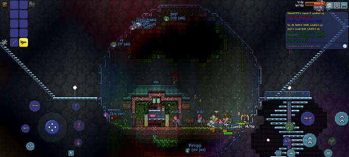 Screenshot_20250213_162508_Terraria