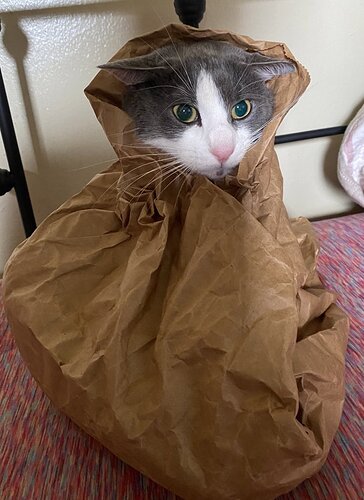 package