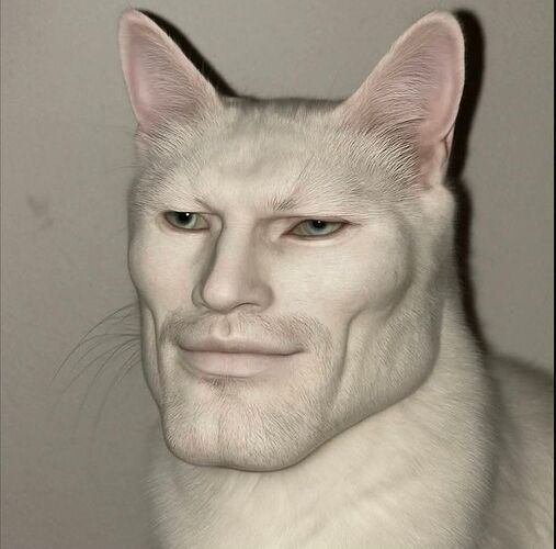 download - 2025-12-21T191841.451