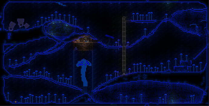 Fungal Fields