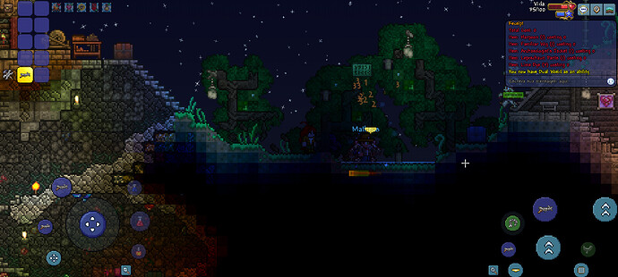 Screenshot_20250214_204218_Terraria