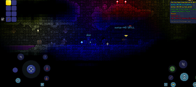 Screenshot_20250215_202648_Terraria