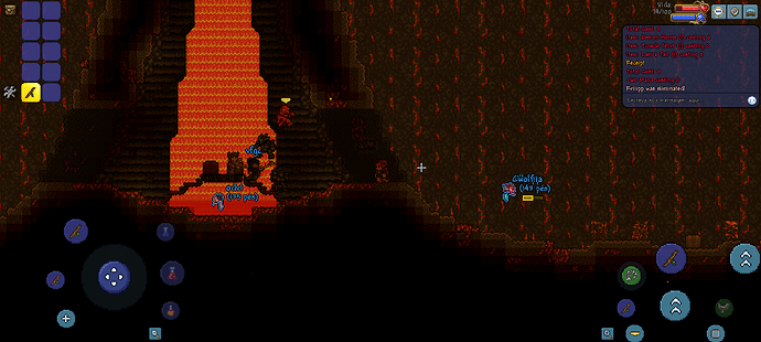Screenshot_20250213_163427_Terraria