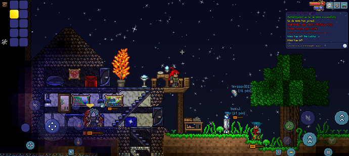 Screenshot_20250215_121012_Terraria