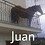 alguien