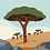 Mr_Mud_Tree